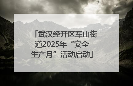 武汉经开区军山街道2025年“安全生产月”活动启动
