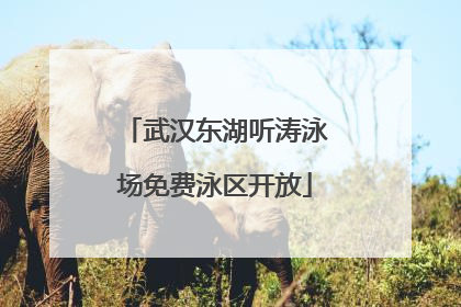 武汉东湖听涛泳场免费泳区开放