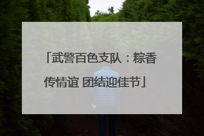 武警百色支队：粽香传情谊 团结迎佳节