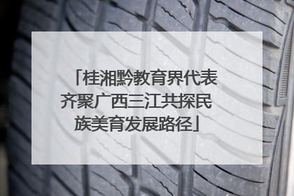 桂湘黔教育界代表齐聚广西三江共探民族美育发展路径