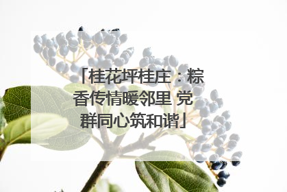 桂花坪桂庄：粽香传情暖邻里 党群同心筑和谐
