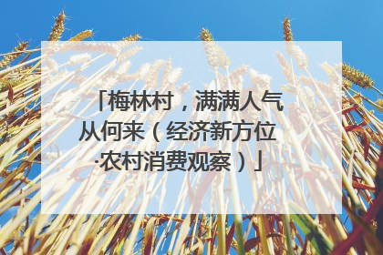 梅林村，满满人气从何来（经济新方位·农村消费观察）