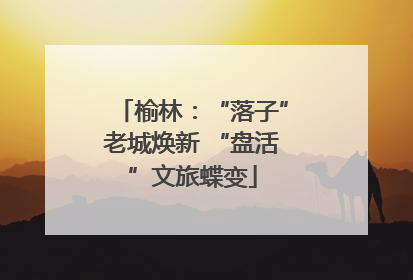 榆林：“落子”老城焕新 “盘活”文旅蝶变