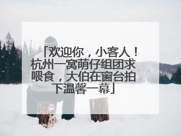 欢迎你，小客人！杭州一窝萌仔组团求喂食，大伯在窗台拍下温馨一幕