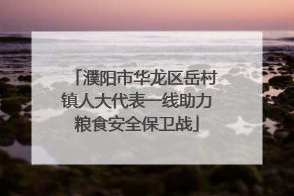 濮阳市华龙区岳村镇人大代表一线助力粮食安全保卫战