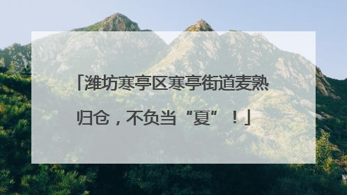 潍坊寒亭区寒亭街道麦熟归仓，不负当“夏”！