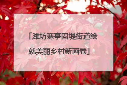 潍坊寒亭固堤街道绘就美丽乡村新画卷