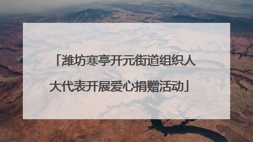 潍坊寒亭开元街道组织人大代表开展爱心捐赠活动
