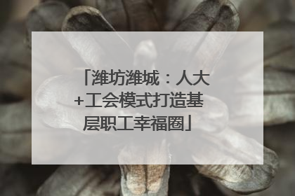 潍坊潍城：人大+工会模式打造基层职工幸福圈