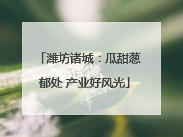 潍坊诸城：瓜甜葱郁处 产业好风光