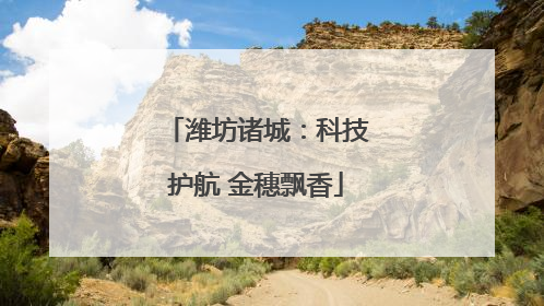 潍坊诸城：科技护航 金穗飘香