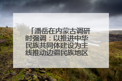 潘岳在内蒙古调研时强调：以推进中华民族共同体建设为主线推动边疆民族地区高质量发展