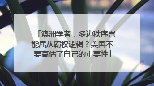 澳洲学者：多边秩序岂能屈从霸权逻辑？美国不要高估了自己的重要性