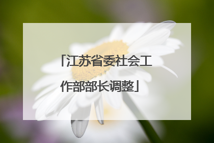 江苏省委社会工作部部长调整