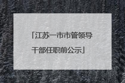江苏一市市管领导干部任职前公示