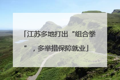 江苏多地打出“组合拳”，多举措保障就业