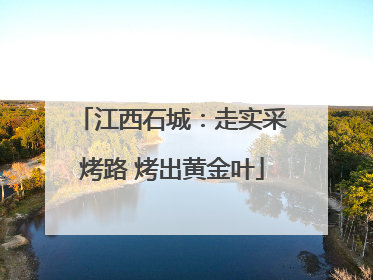 江西石城：走实采烤路 烤出黄金叶