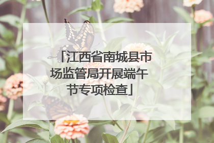 江西省南城县市场监管局开展端午节专项检查