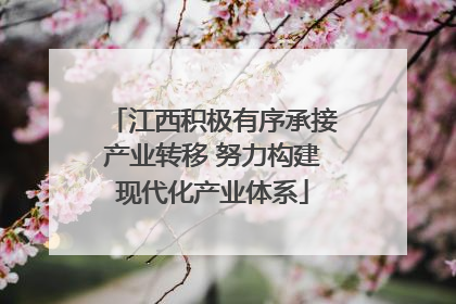 江西积极有序承接产业转移 努力构建现代化产业体系