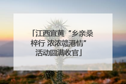 江西宜黄“乡亲桑梓行 浓浓赣港情”活动圆满收官