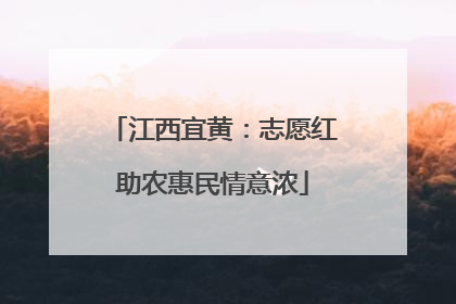 江西宜黄：志愿红助农惠民情意浓