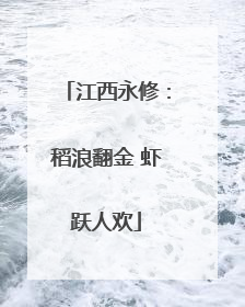江西永修：稻浪翻金 虾跃人欢