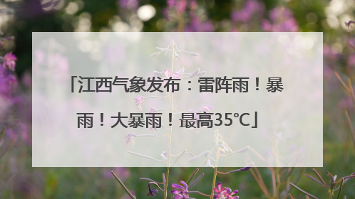 江西气象发布：雷阵雨！暴雨！大暴雨！最高35℃