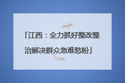 江西：全力抓好整改整治解决群众急难愁盼