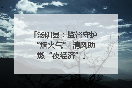 汤阴县：监督守护“烟火气” 清风助燃“夜经济”