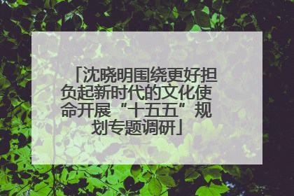 沈晓明围绕更好担负起新时代的文化使命开展“十五五”规划专题调研