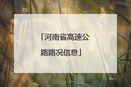 河南省高速公路路况信息