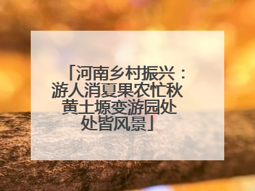 河南乡村振兴：游人消夏果农忙秋 黄土塬变游园处处皆风景
