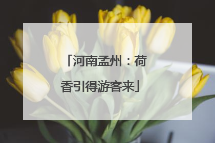 河南孟州：荷香引得游客来