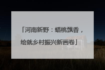 河南新野：蟠桃飘香，绘就乡村振兴新画卷