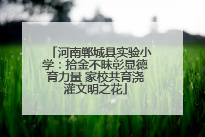 河南郸城县实验小学：拾金不昧彰显德育力量 家校共育浇灌文明之花