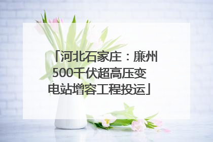 河北石家庄：廉州500千伏超高压变电站增容工程投运