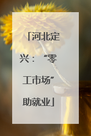河北定兴：“零工市场”助就业
