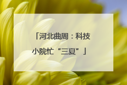 河北曲周：科技小院忙“三夏”
