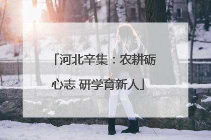 河北辛集：农耕砺心志 研学育新人