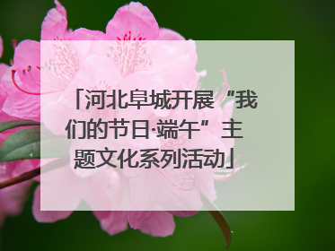 河北阜城开展“我们的节日·端午”主题文化系列活动