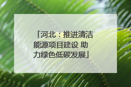 河北：推进清洁能源项目建设 助力绿色低碳发展