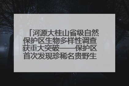 河源大桂山省级自然保护区生物多样性调查获重大突破——保护区首次发现珍稀名贵野生干巴菌与钝尾两头蛇