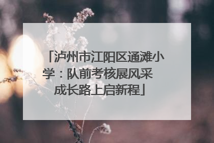 泸州市江阳区通滩小学：队前考核展风采 成长路上启新程