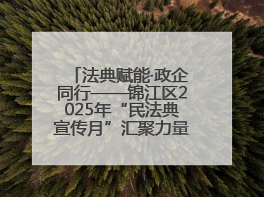 法典赋能·政企同行——锦江区2025年“民法典宣传月”汇聚力量 助推企业发展
