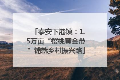 泰安下港镇：1.5万亩“樱桃黄金带”铺就乡村振兴路