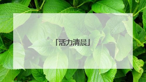 活力清晨