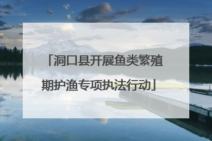 洞口县开展鱼类繁殖期护渔专项执法行动