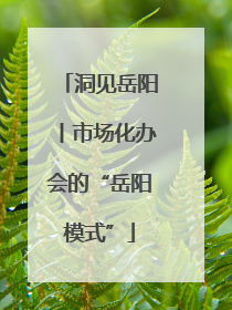 洞见岳阳丨市场化办会的“岳阳模式”