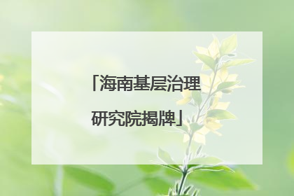 海南基层治理研究院揭牌