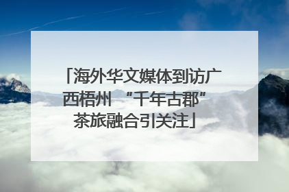 海外华文媒体到访广西梧州 “千年古郡”茶旅融合引关注